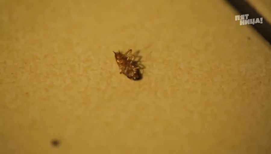 Замечания Константина Ивлева по Маракеш