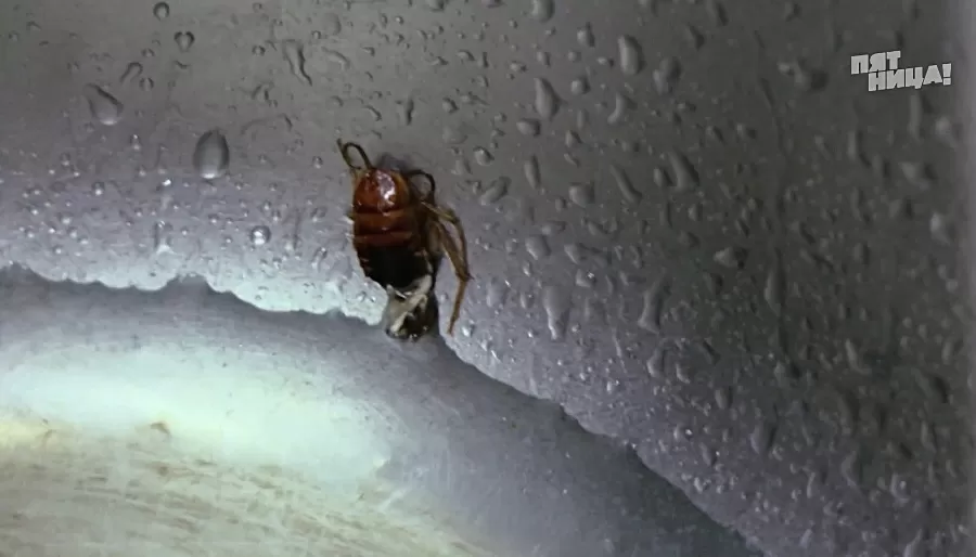 Замечания Константина Ивлева по Репин