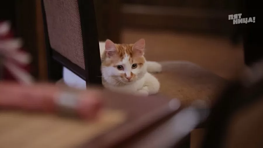 Почему Солод?