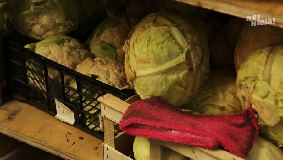 Замечания Константина Ивлева по Два хвоста