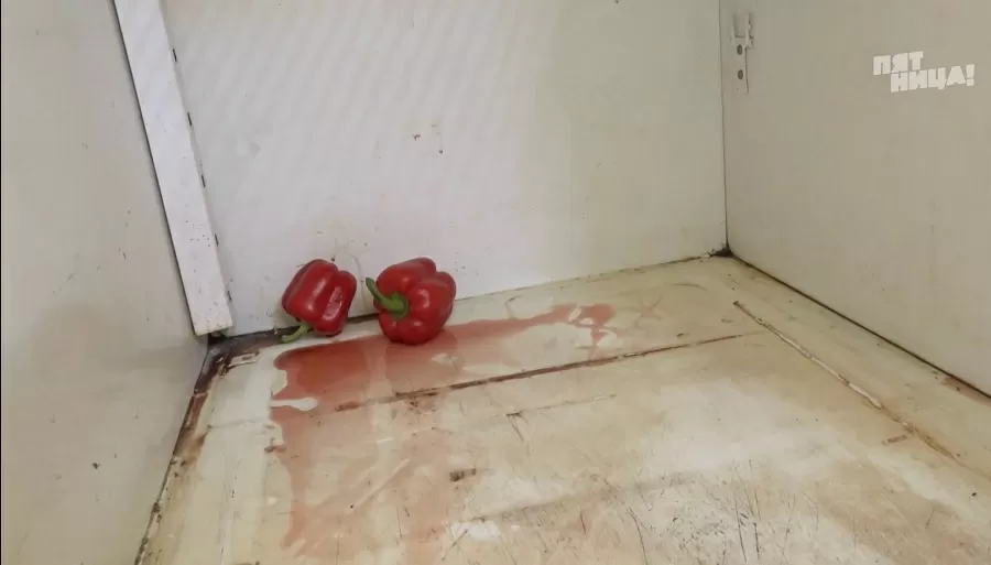 Замечания Константина Ивлева по Рыжая Сара