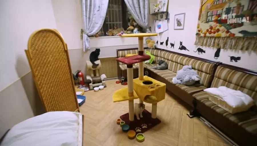 Что стало с Солод, после реконструкции Константина и его команды.