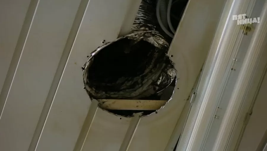 Какие проблемы были у Кроличья нора до прихода Ивлева?