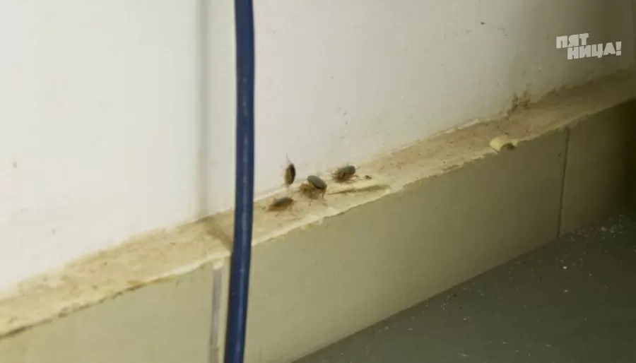 Замечания Константина Ивлева по Этаж