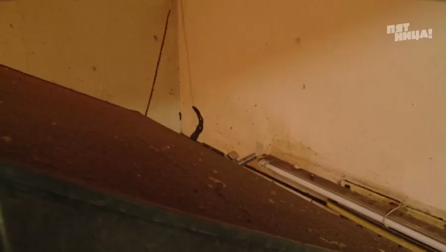 Какие проблемы были у Берлога до прихода Ивлева?