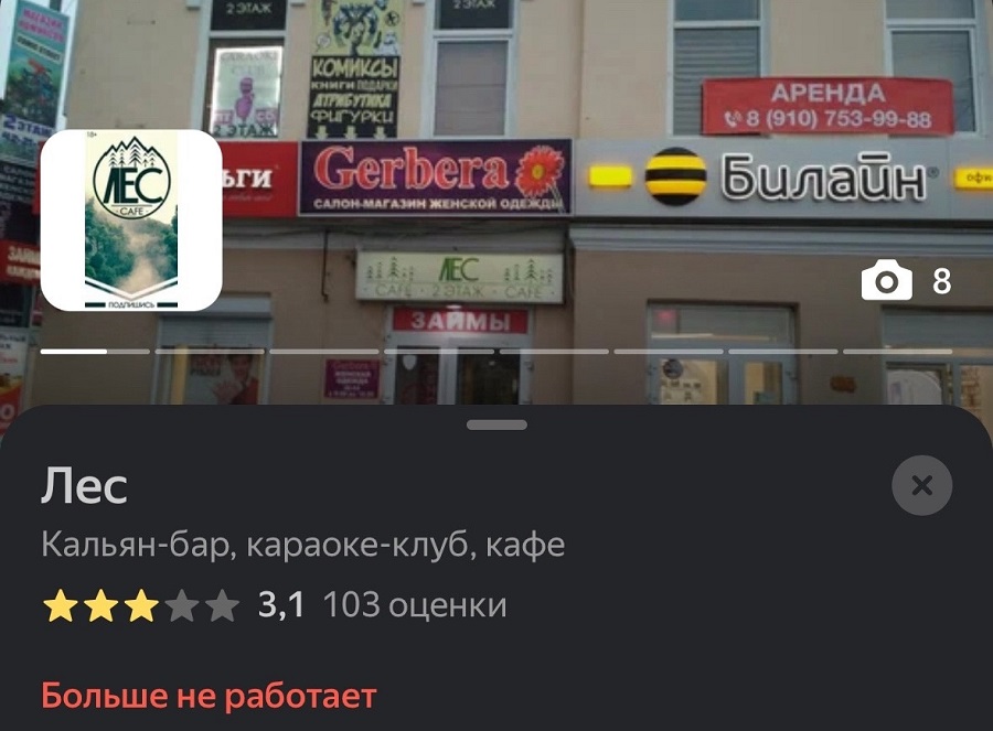 А что с заведением Лес стало после программы?